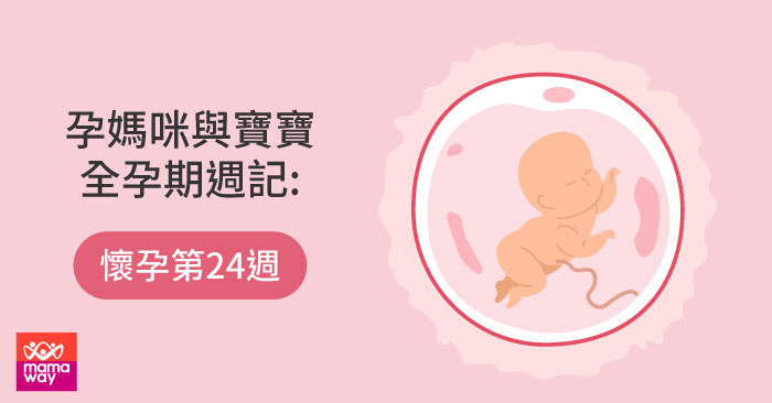孕媽咪與寶寶全孕期週記 懷孕第24週 Mamaway